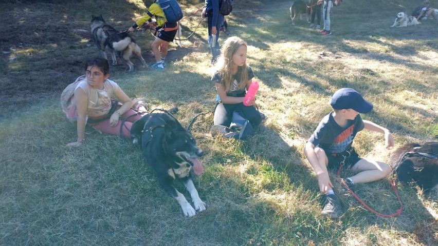 1000040866 1000040866