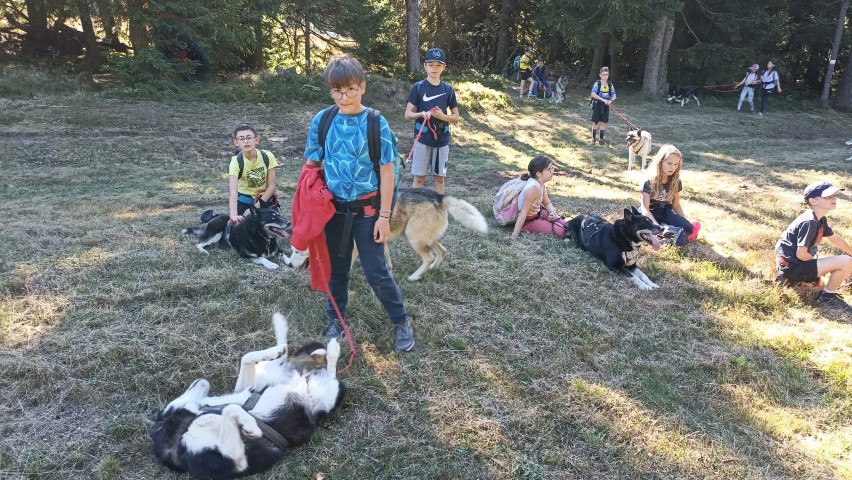 1000040867 1000040867