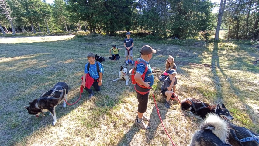 1000040868 1000040868