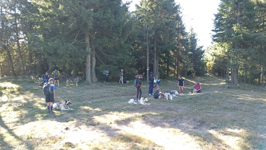 1000040869 1000040869