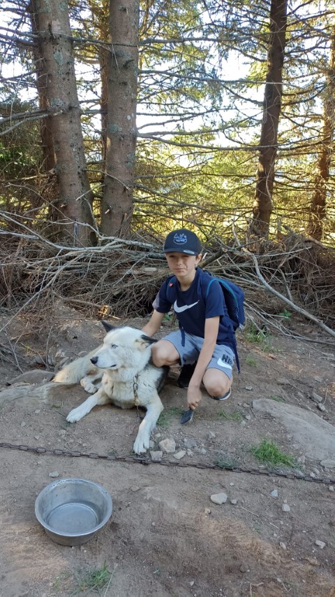 1000040871 1000040871