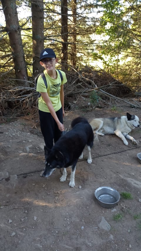 1000040872 1000040872