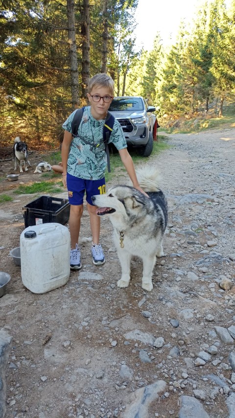 1000040873 1000040873