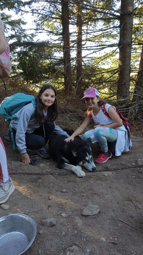 1000040874 1000040874