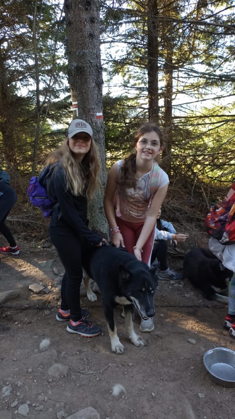 1000040875 1000040875