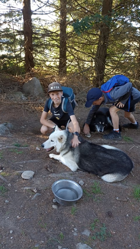 1000040879 1000040879