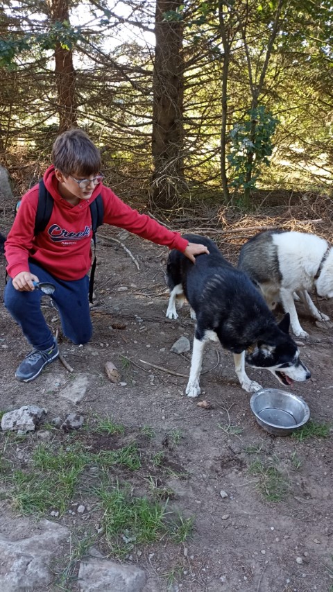 1000040880 1000040880