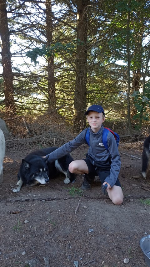 1000040881 1000040881