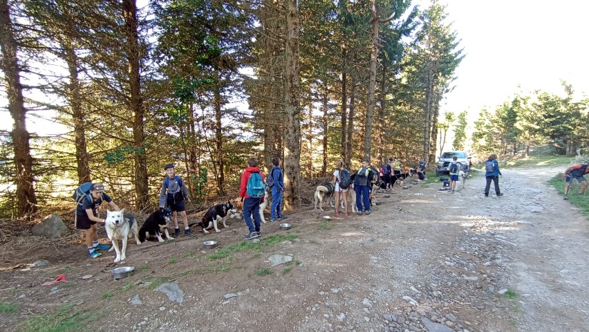 1000040882 1000040882