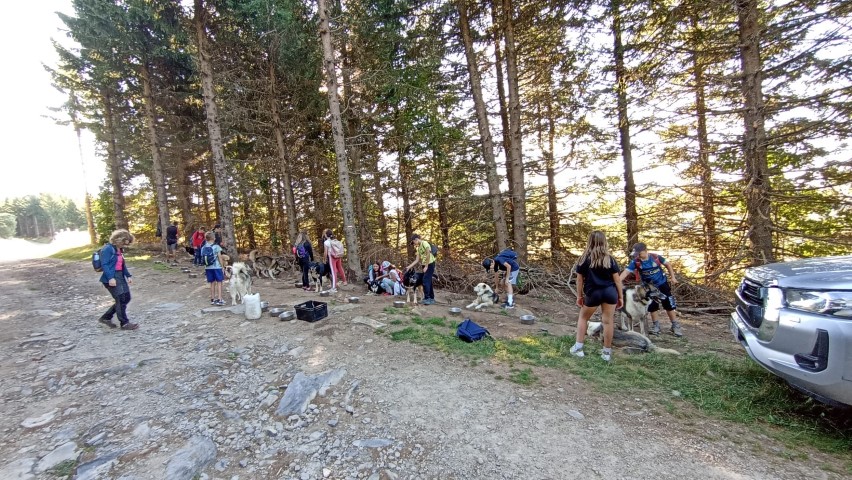 1000040883 1000040883