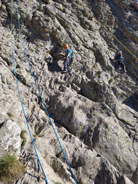 1000041007 1000041007