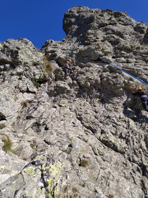 1000041010 1000041010