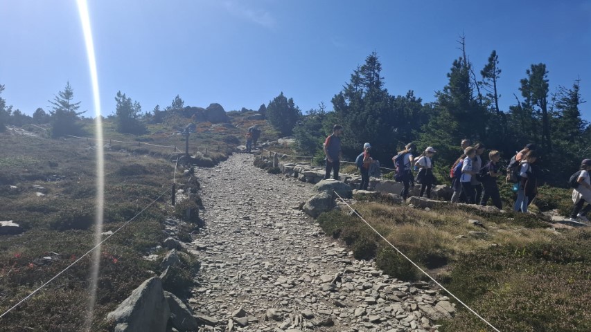 1000041017 1000041017