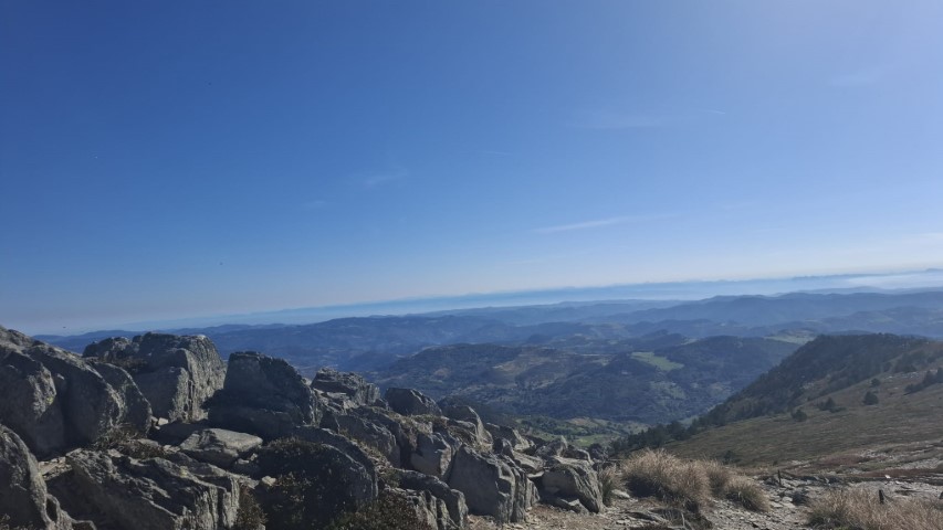 1000041020 1000041020