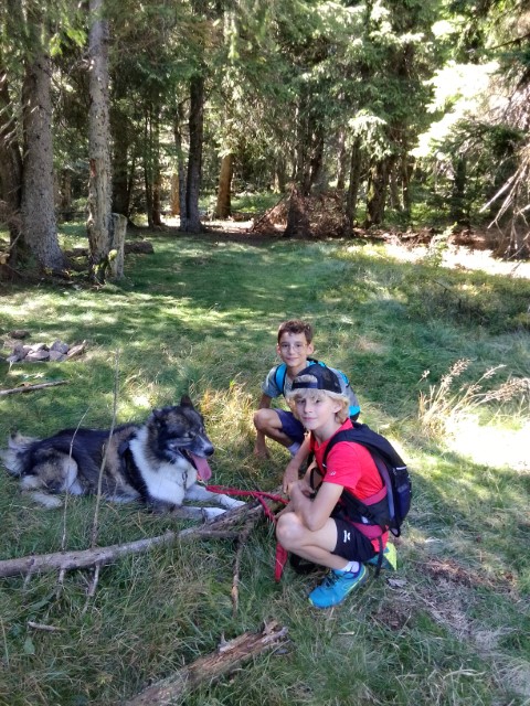 IMG_20250919_144431 IMG_20250919_144431