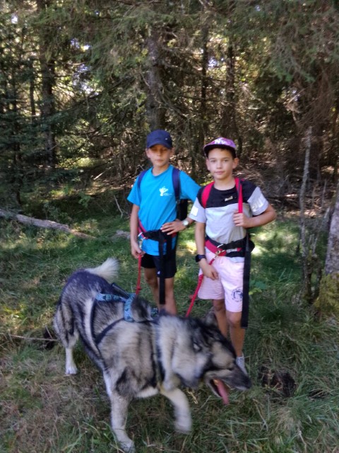 IMG_20250919_144435 IMG_20250919_144435