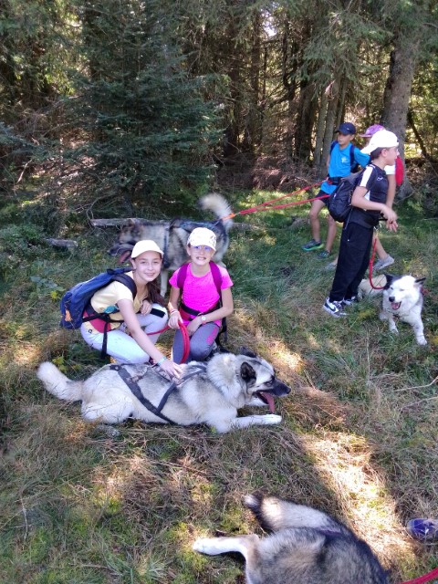 IMG_20250919_144517 IMG_20250919_144517