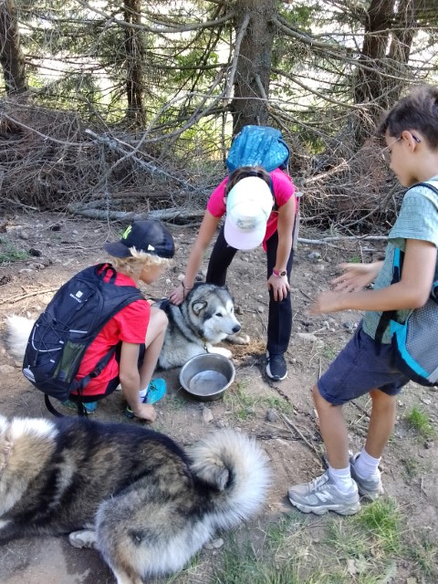 IMG_20250919_154411 IMG_20250919_154411