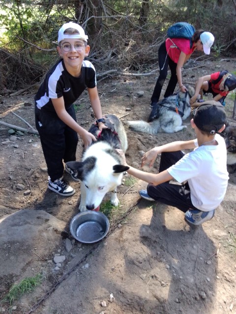 IMG_20250919_154434 IMG_20250919_154434