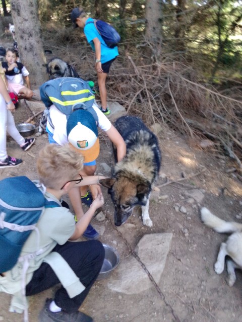 IMG_20250919_154505 IMG_20250919_154505