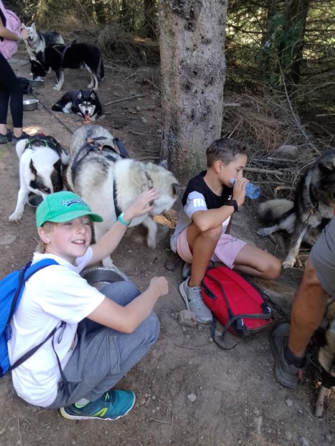 IMG_20250919_154519 IMG_20250919_154519