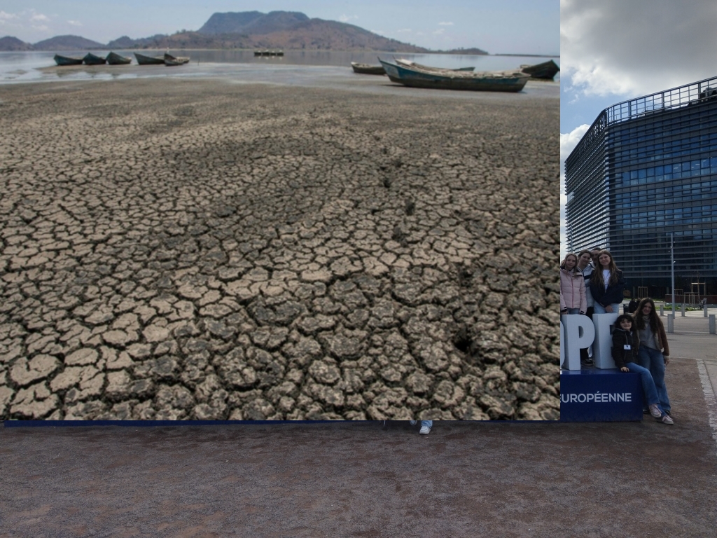 IMG_20260317_132226 IMG_20260317_132226