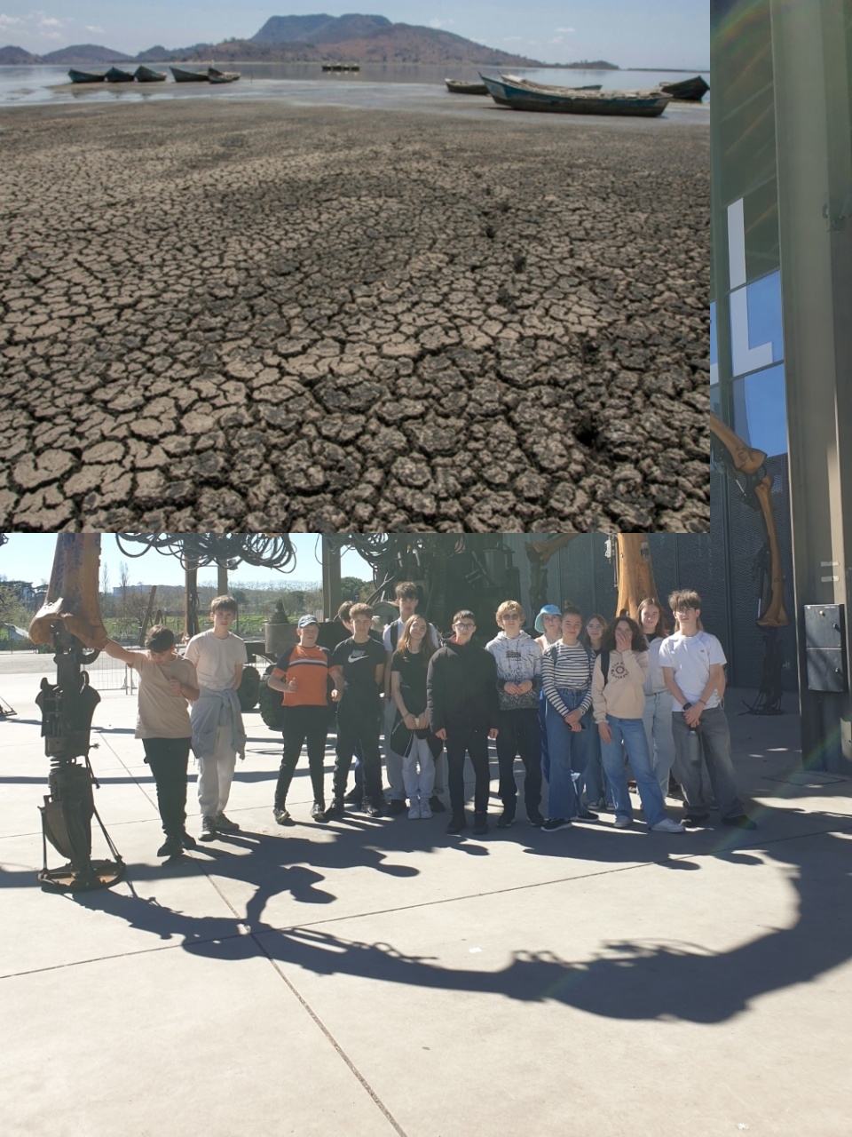 20260317_141146 20260317_141146