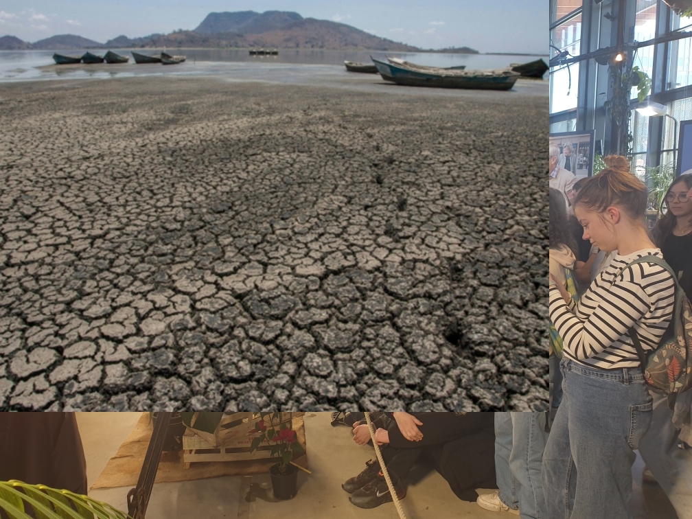 20260317_155637 20260317_155637