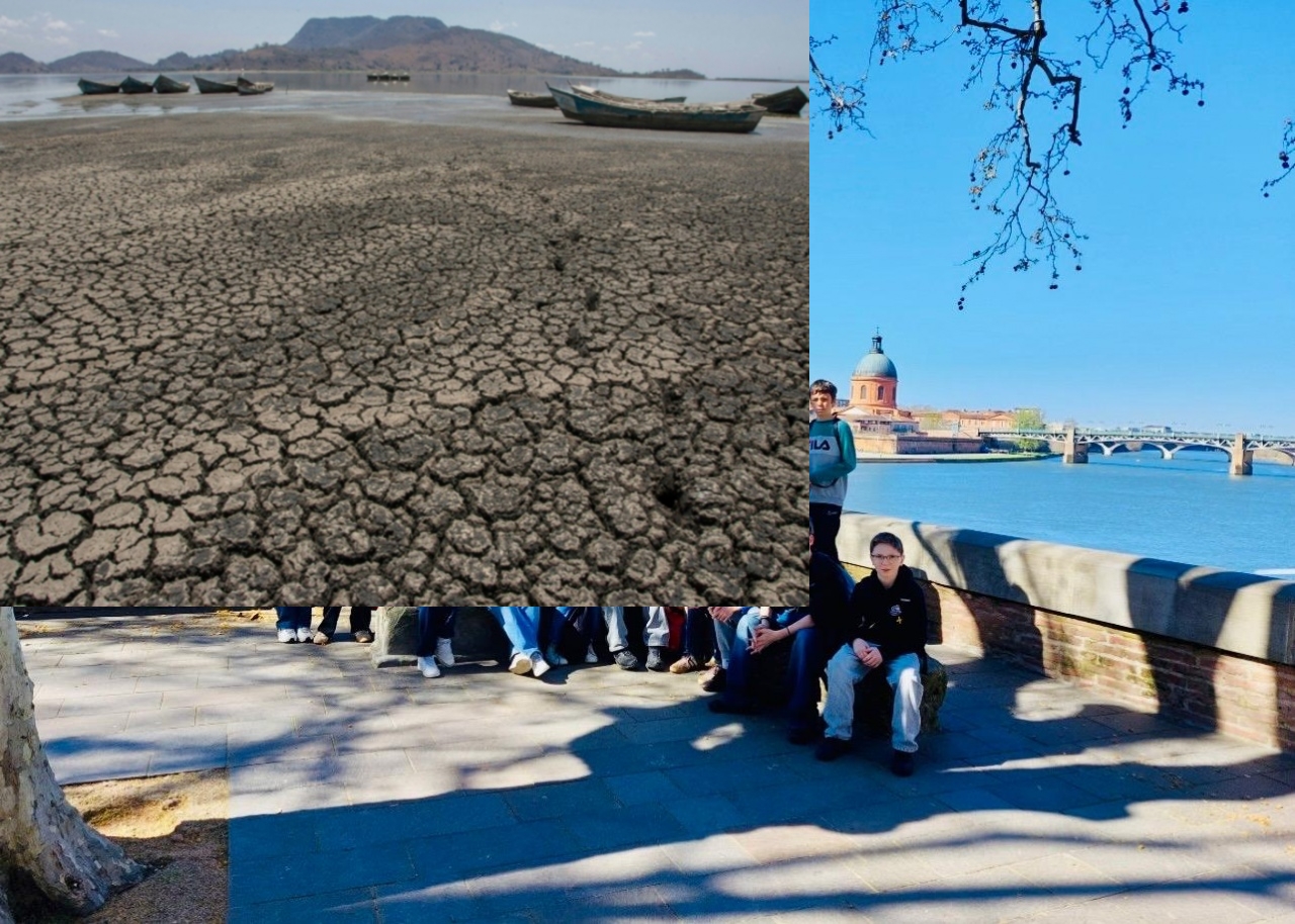 WhatsApp Image 2026-03-18 at 18.42.27