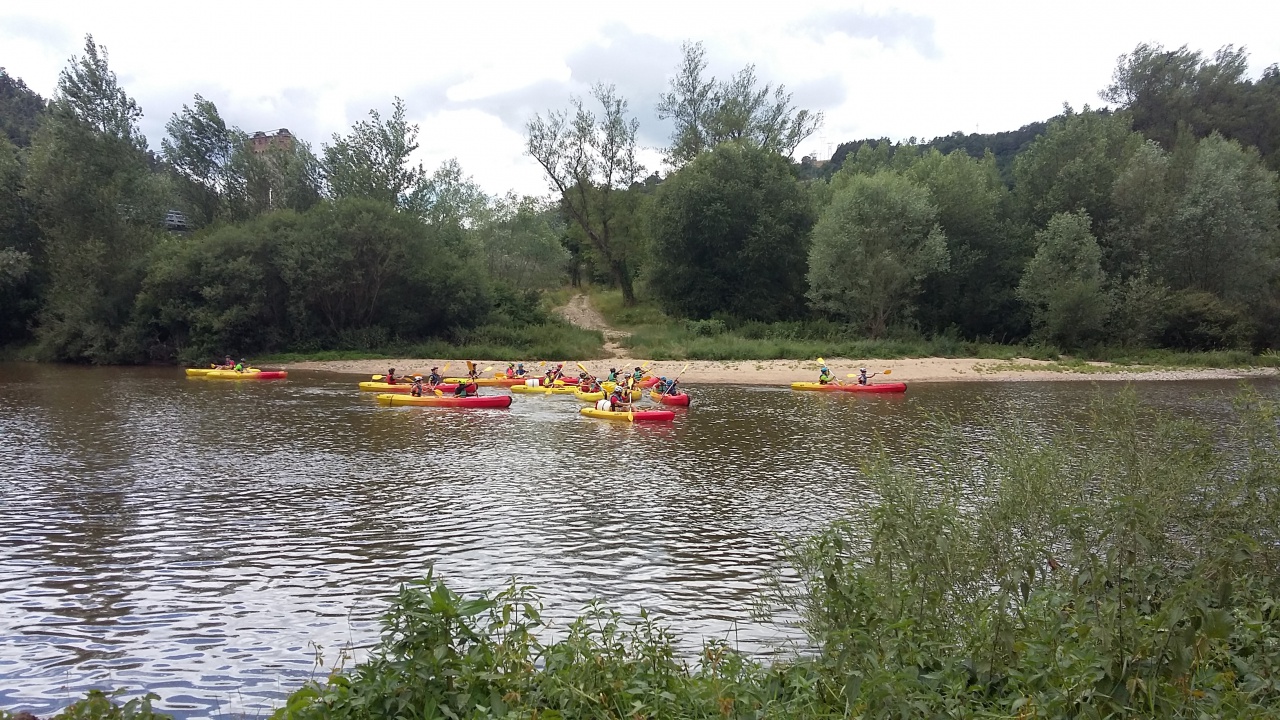 20170629_142202 20170629_142202