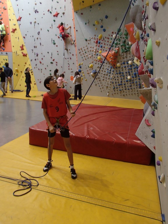 P1240203 (Copier) P1240203 (Copier)