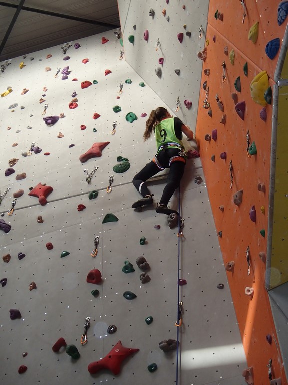 P1240236 (Copier) P1240236 (Copier)