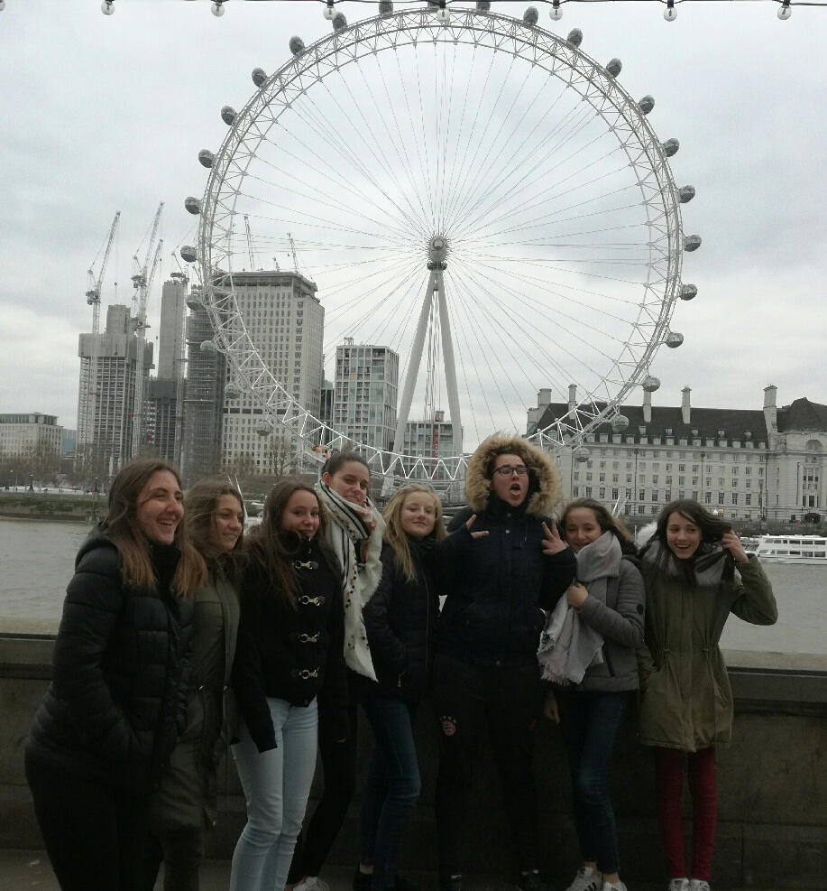 0BA149FF-5030-4E0C-8548-581468730725 0BA149FF-5030-4E0C-8548-581468730725