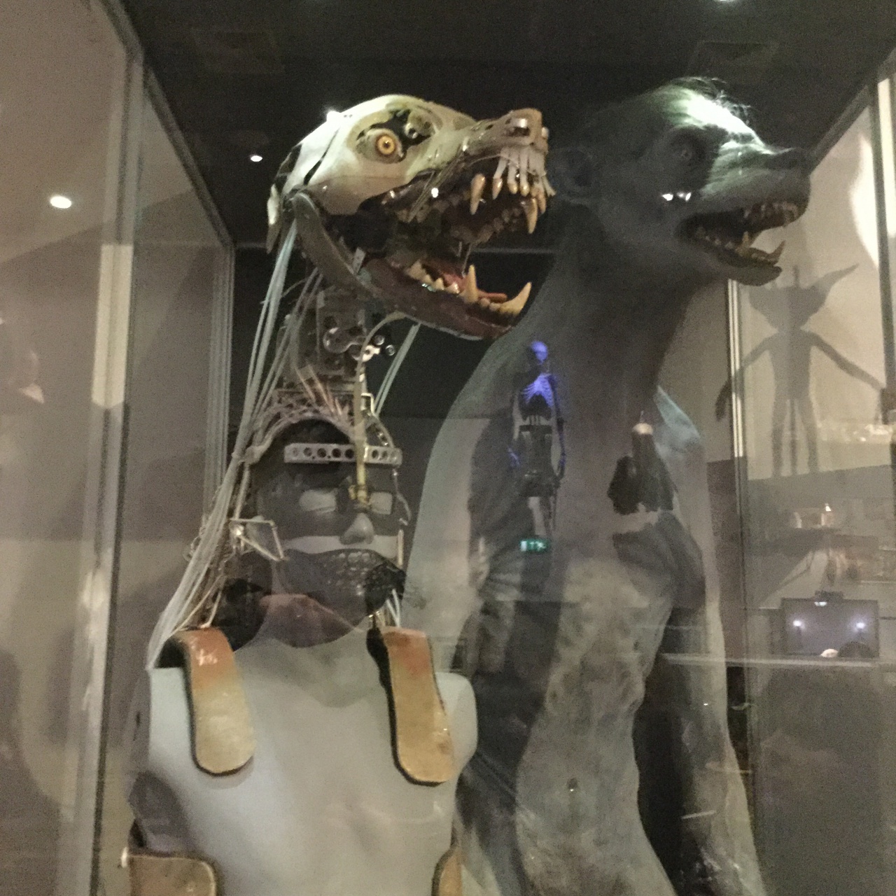 07FFBD0C-224D-46D7-AA69-63632891D789 07FFBD0C-224D-46D7-AA69-63632891D789