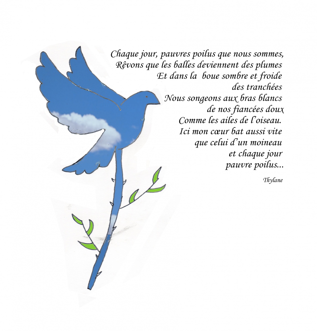 thylane jpeg 46 x 48 thylane jpeg 46 x 48